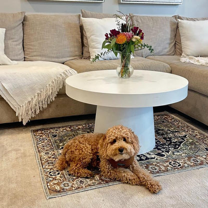Persian Style Pet Floor Mat
